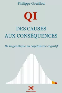 Gouillou (2024) : QI : Des causes aux conséquences